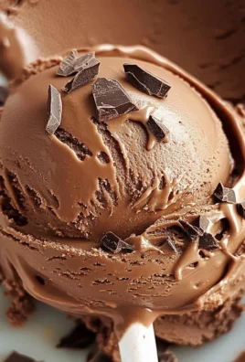 Homemade Chocolate Ice Cream Recipe