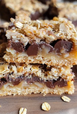 Caramel Oat Chocolate Chunk Shortbread Bars